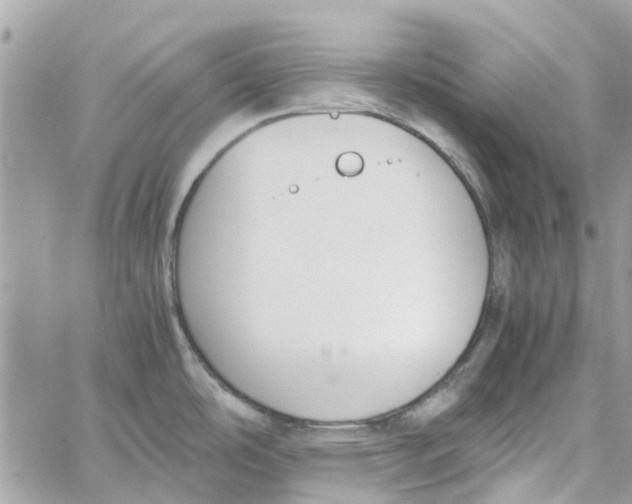 X0000060261486200511181341