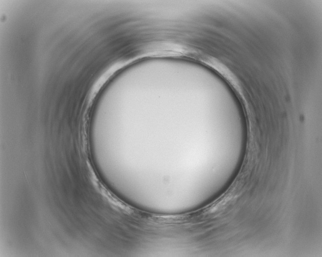 X0000060261488200511181341