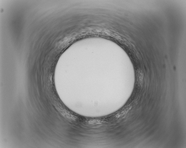 X0000060261489200511181341