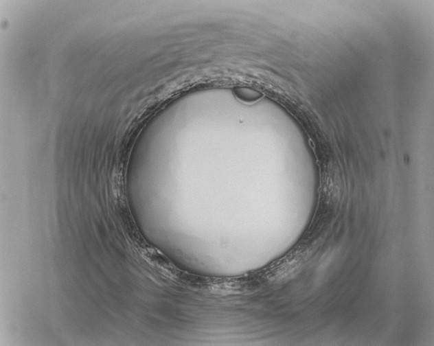 X0000060261490200511181341