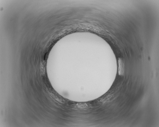 X0000060261491200511181341