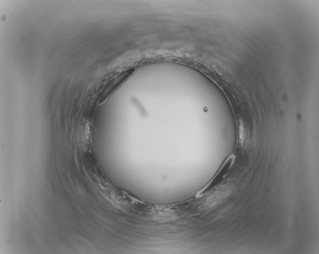 X0000060261492200511181341