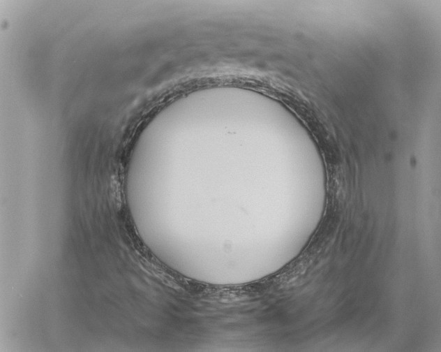 X0000060261493200511181341