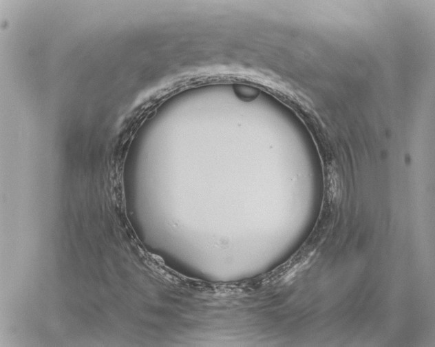 X0000060261494200511181341