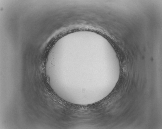 X0000060261495200511181341