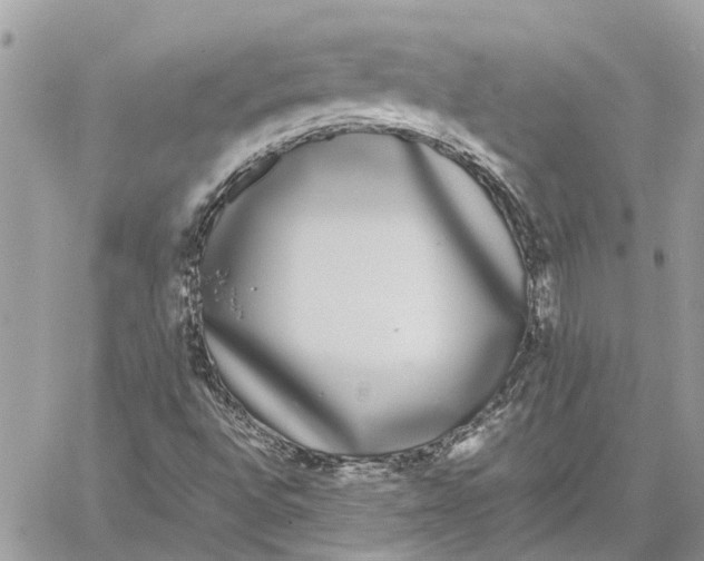 X0000060261496200511181341