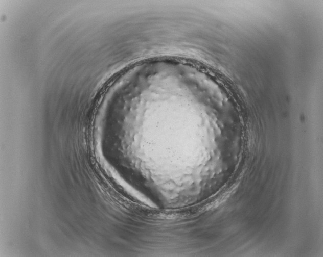 X0000060261497200511181341