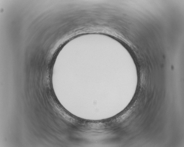 X0000060261498200511181341