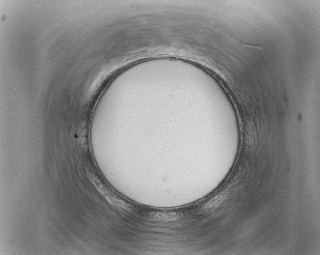 X0000060261499200511181341