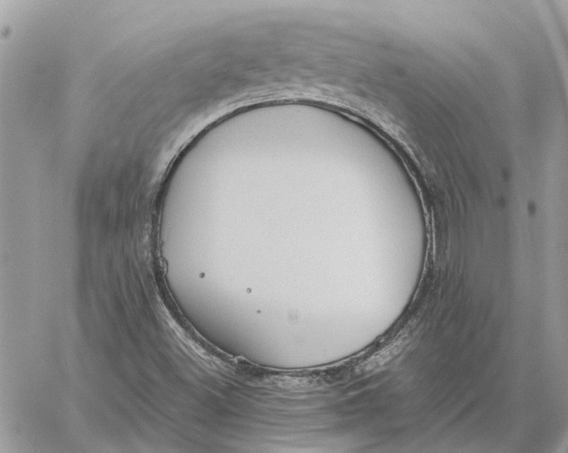 X0000060261500200511181341