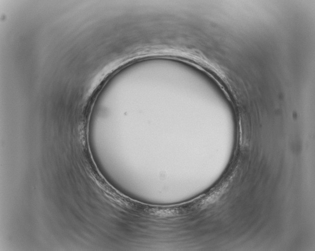 X0000060261501200511181341