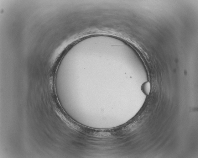 X0000060261503200511181341