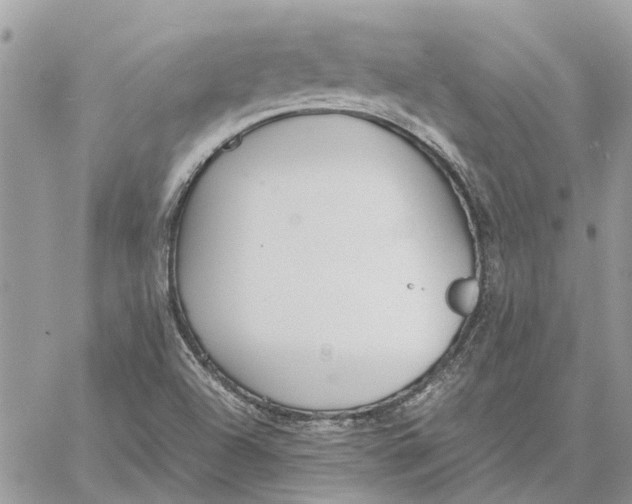 X0000060261504200511181341