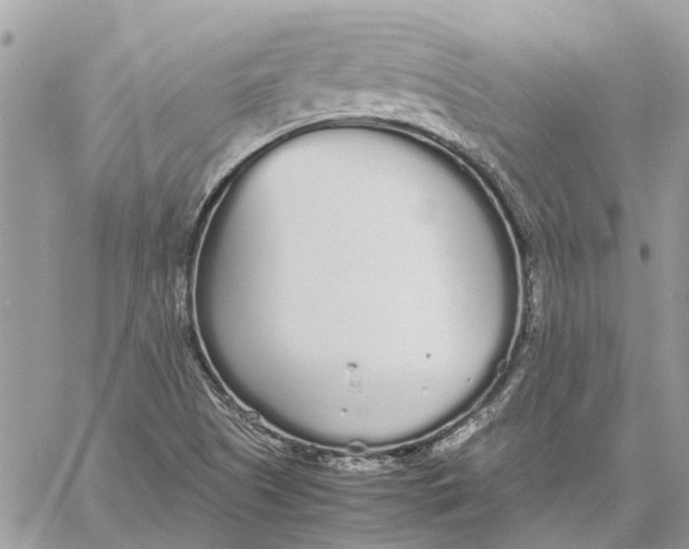 X0000060261505200511181341