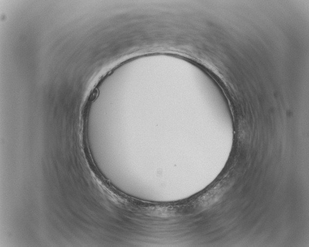 X0000060261508200511181341