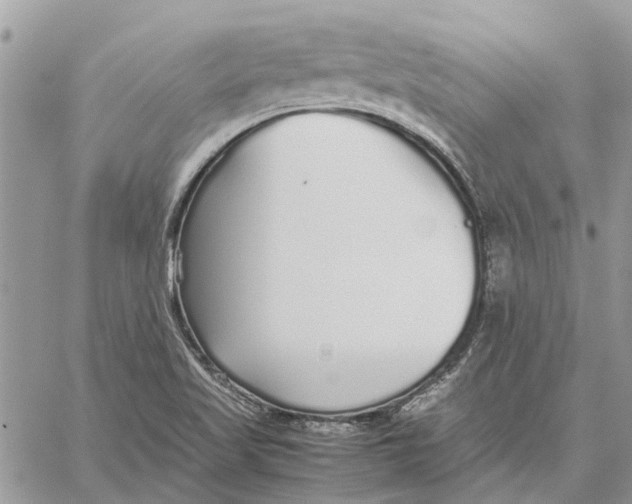 X0000060261509200511181341