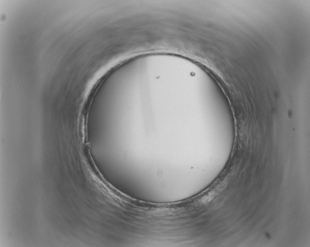 X0000060261510200511181341