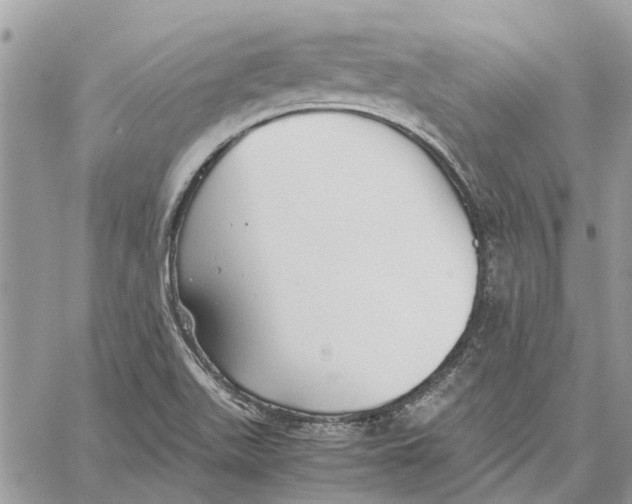 X0000060261511200511181341