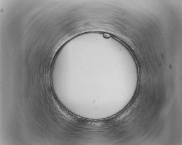 X0000060261513200511181341