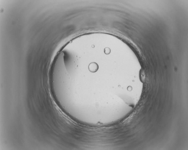 X0000060261514200511181341