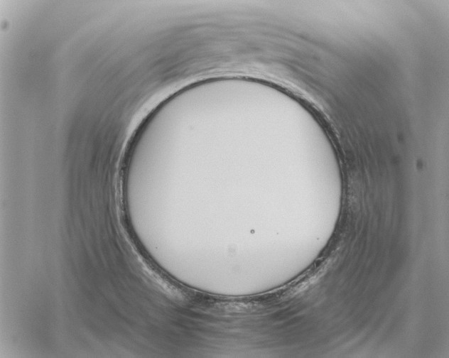 X0000060261517200511181341