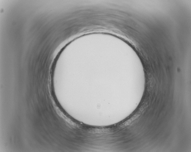 X0000060261518200511181341