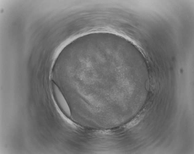 X0000060261519200511181341