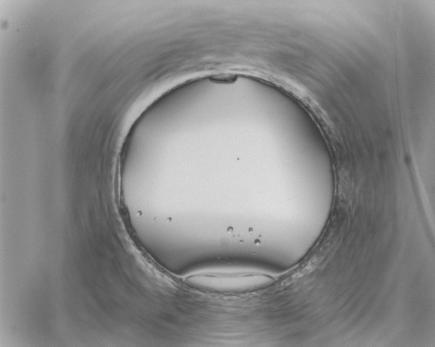 X0000060261520200511181341