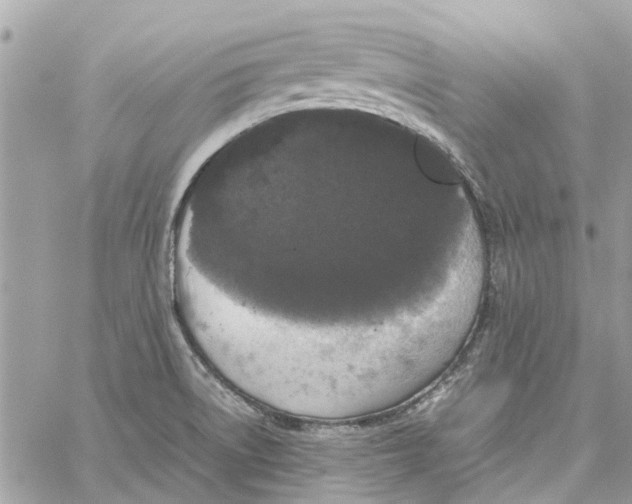 X0000060261522200511181341