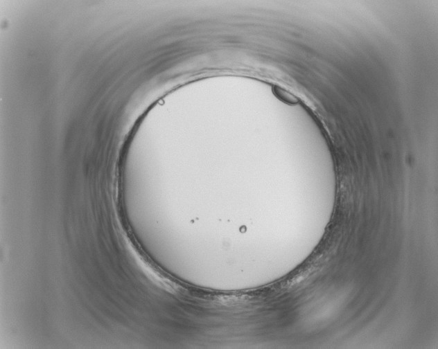 X0000060261523200511181341