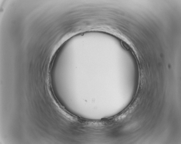 X0000060261525200511181341