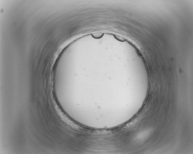 X0000060261526200511181341