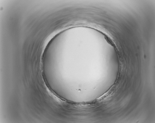 X0000060261527200511181341