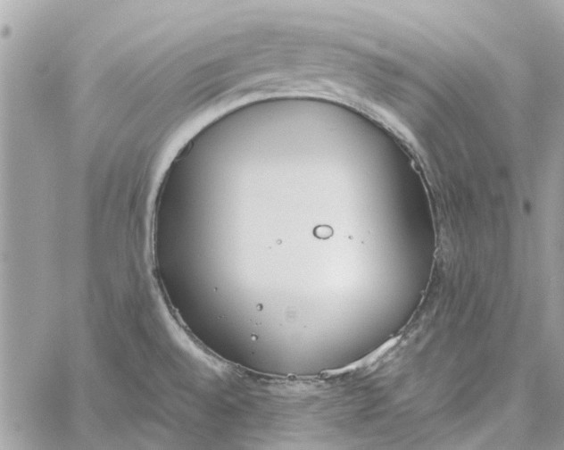 X0000060261528200511181341