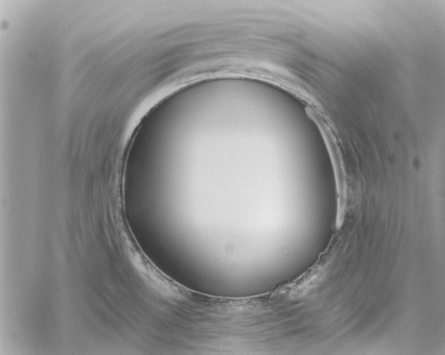 X0000060261530200511181341