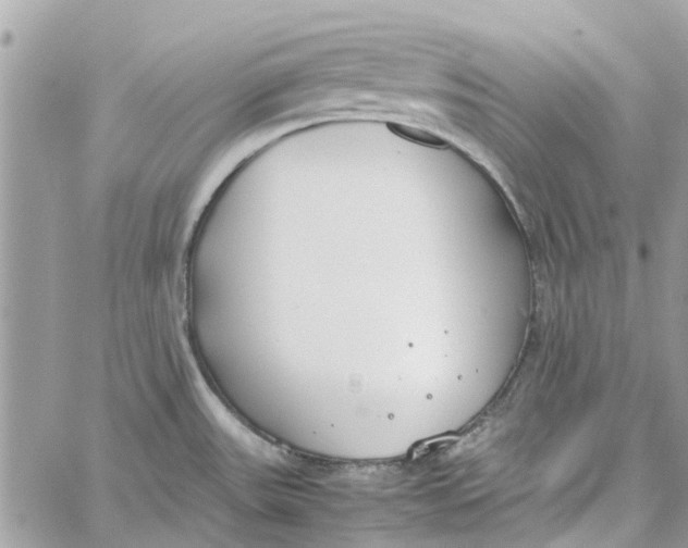 X0000060261531200511181341