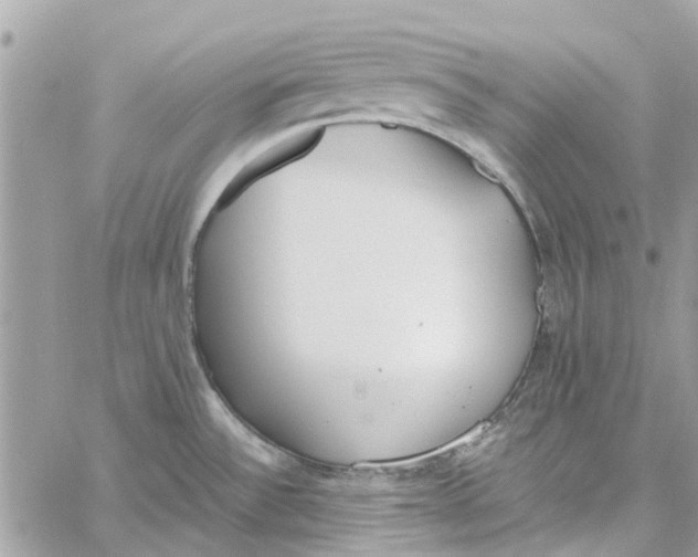 X0000060261532200511181341