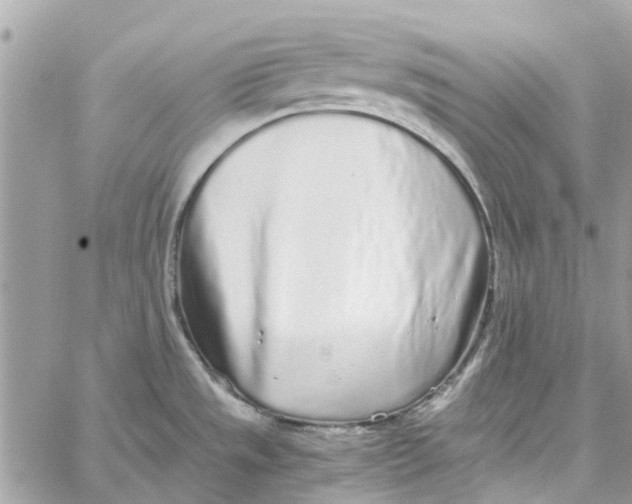 X0000060261533200511181341