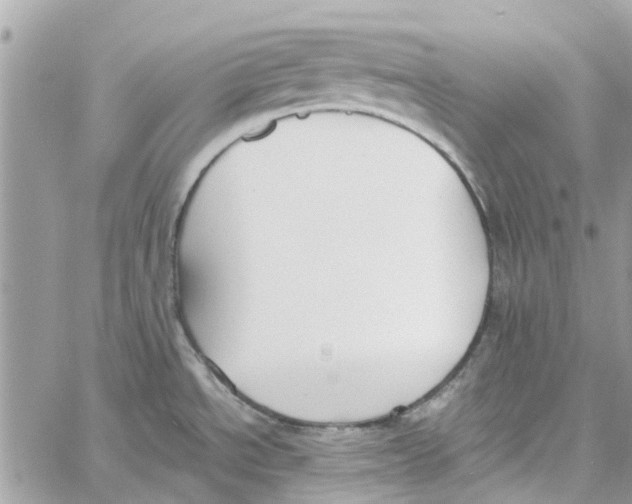 X0000060261534200511181341