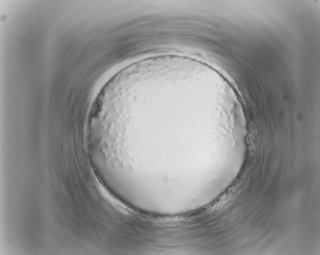 X0000060261535200511181341