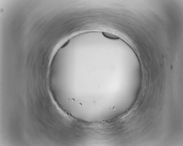 X0000060261536200511181341