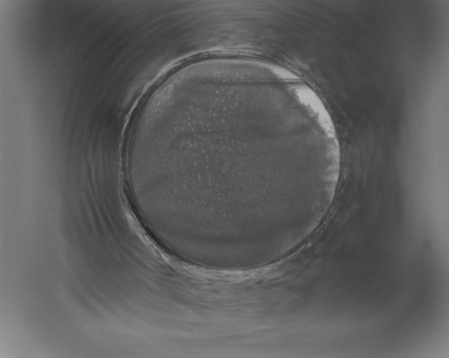 X0000060260002200511241440