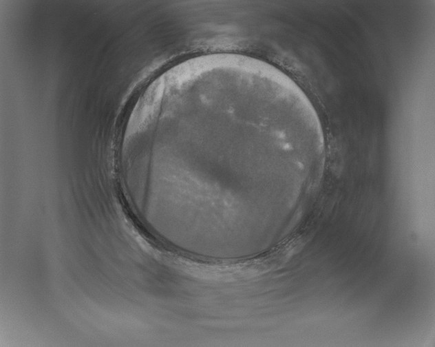 X0000060260012200511241440