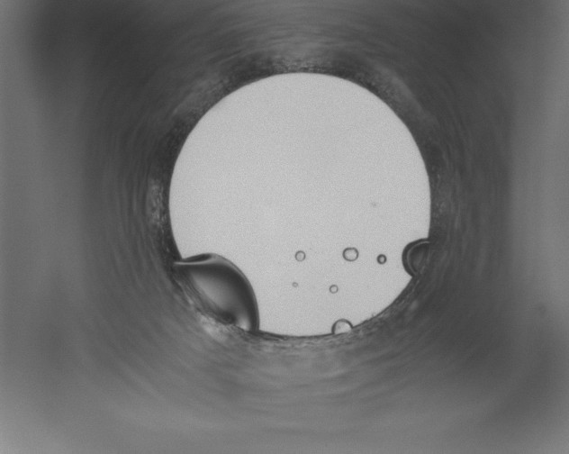 X0000060260025200511241439