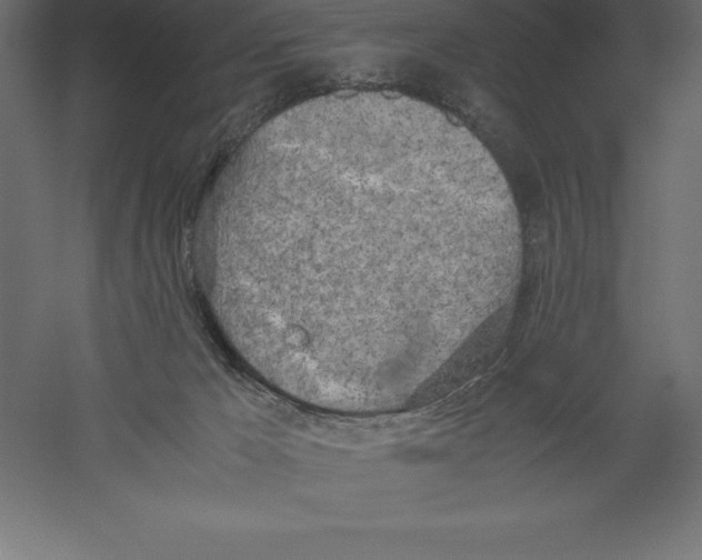 X0000060260029200511241439