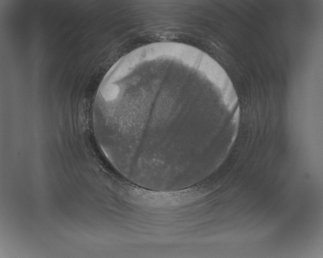 X0000060260030200511241439