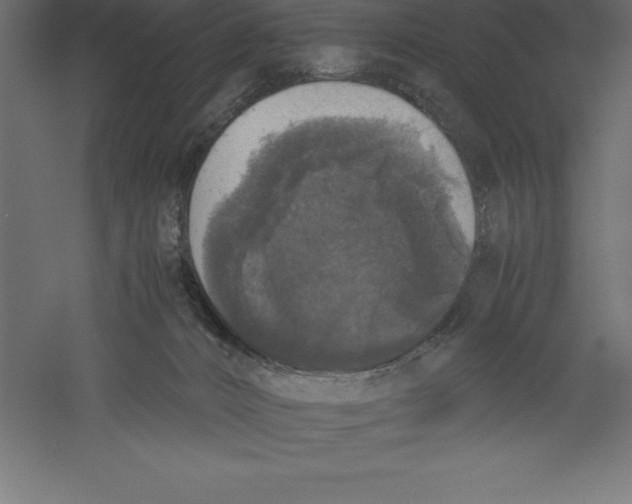 X0000060260032200511241439