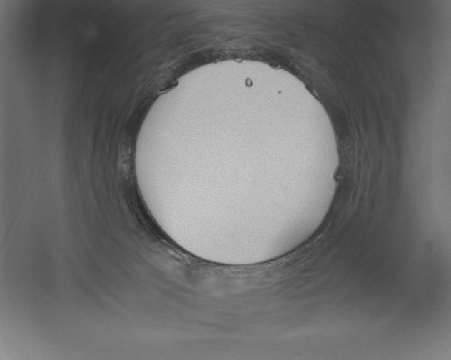 X0000060260033200511241439