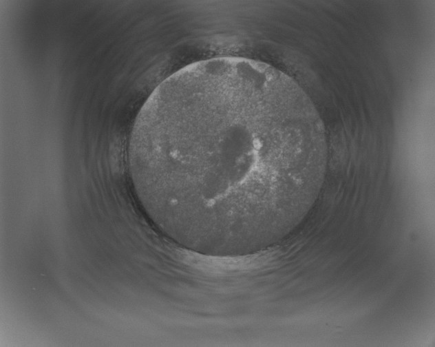 X0000060260034200511241439