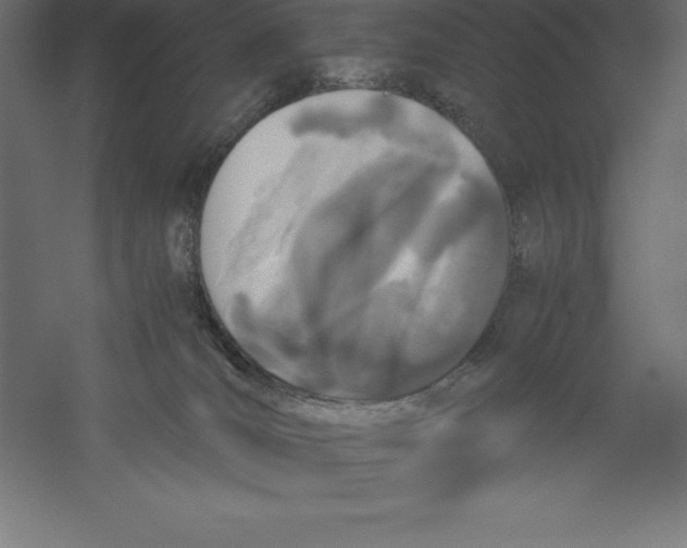 X0000060260036200511241439